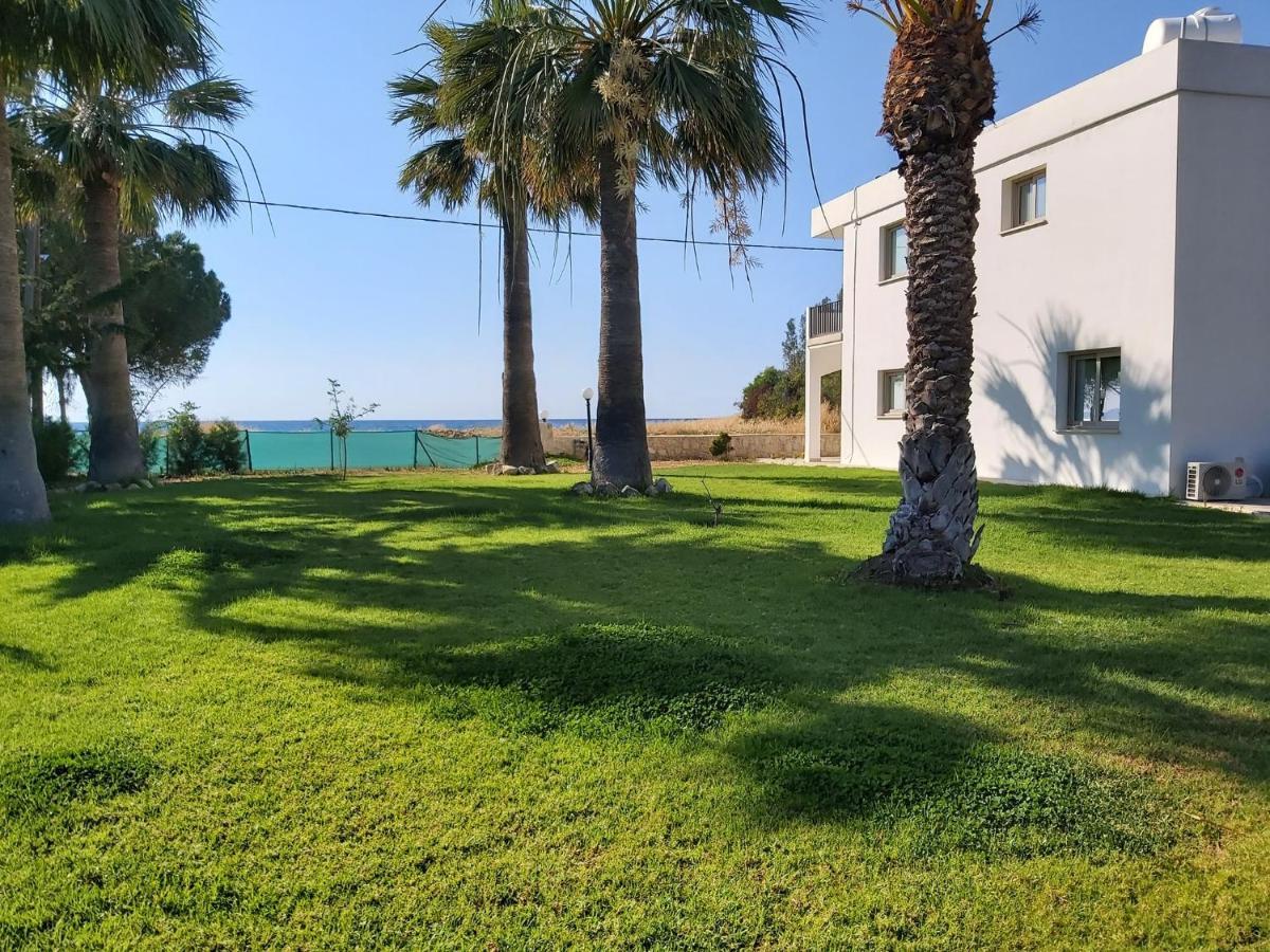 Argaka Palm Tree Apts Exterior photo